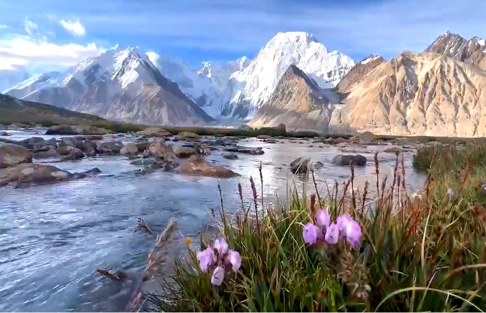 夏特冰川营地景观